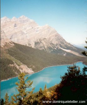 Lac Peyto, Canada