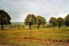 Campagne
